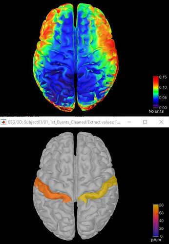 Scouts display cortical map