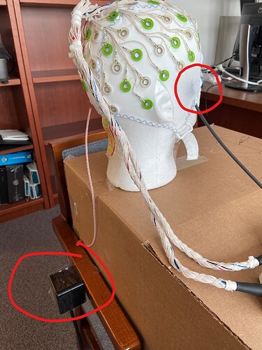 EEG setup