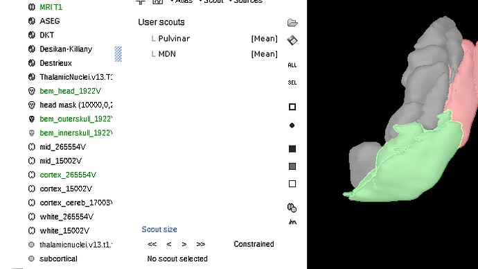 Image 2025-09-10 at 8.31 PM