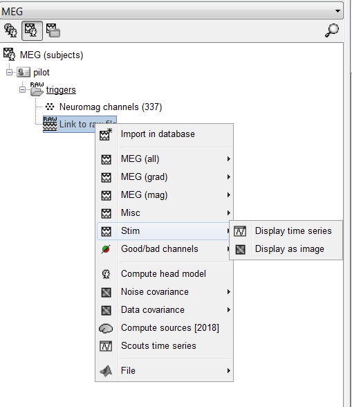 Neuromag tutorial