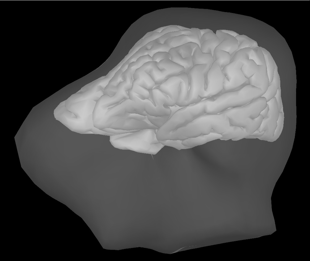 Neuromag tutorial