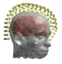 http://neuroimage.usc.edu/