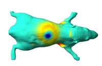 Molecular Imaging